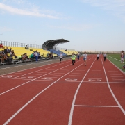 Посмотреть крупнее